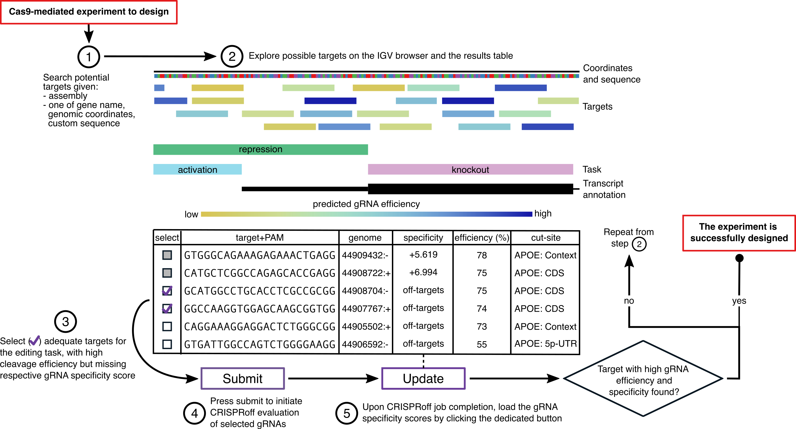 Steps to design gRNAs (maximize efficiency and specificity)