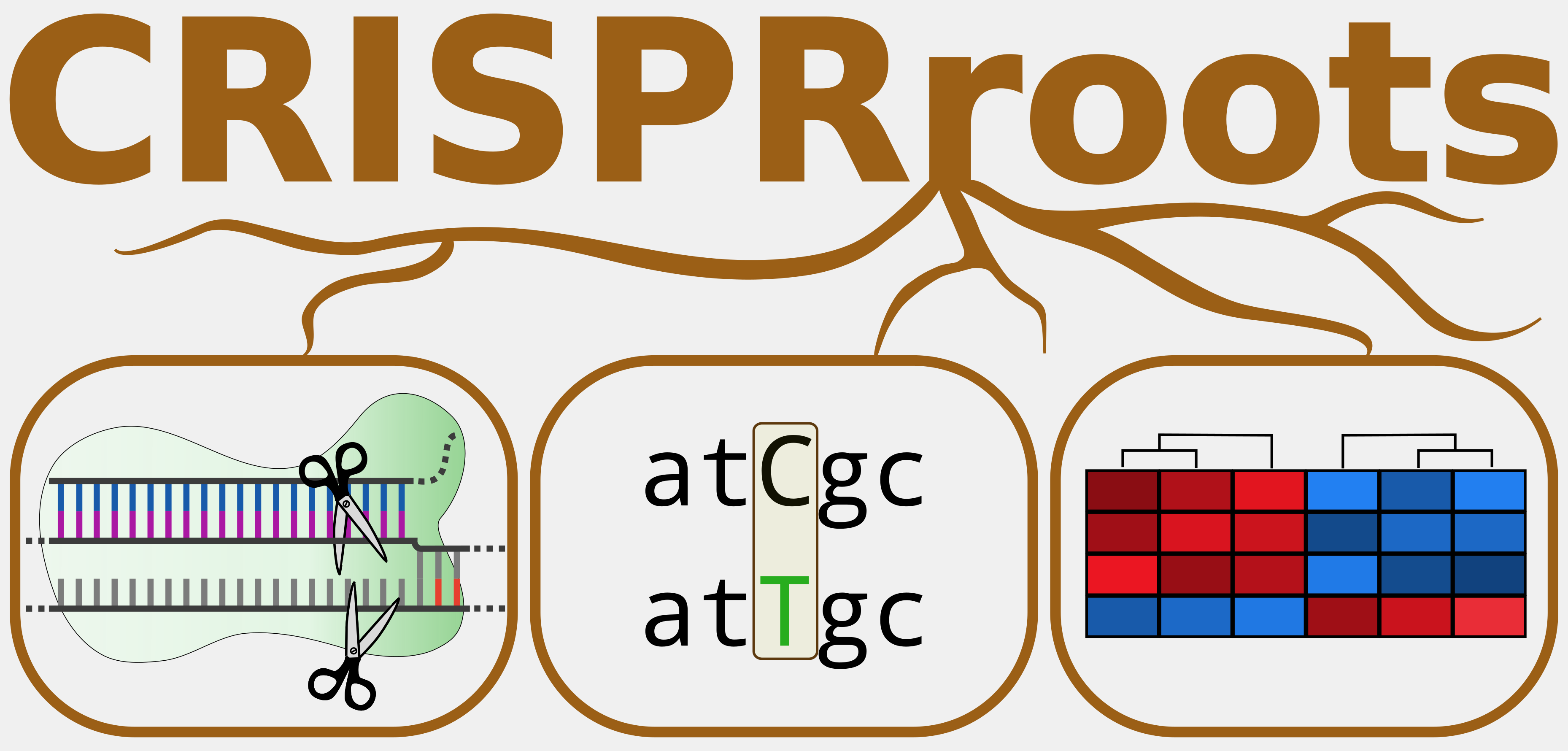 CRISPRroots